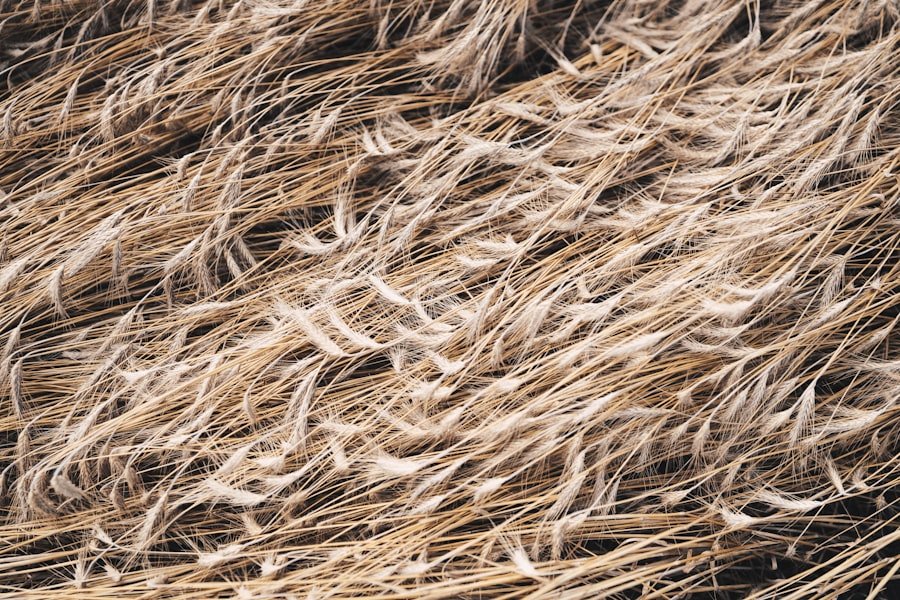 hair fiber