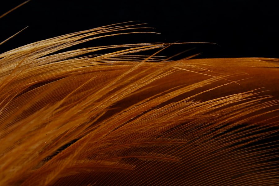 hair fiber