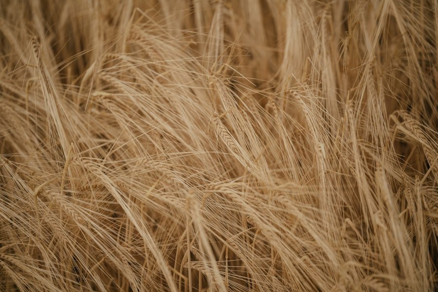 thinning hair
