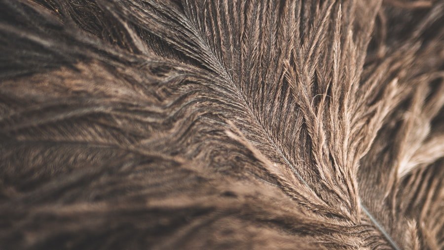 natural hair thickener
