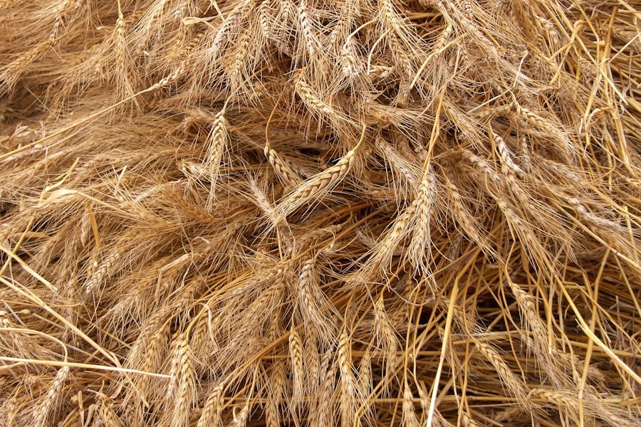 thicken hair