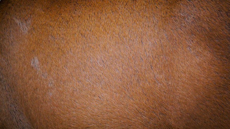 Photo bald spot concealer