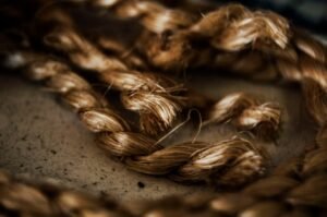 Photo hair loss genetics