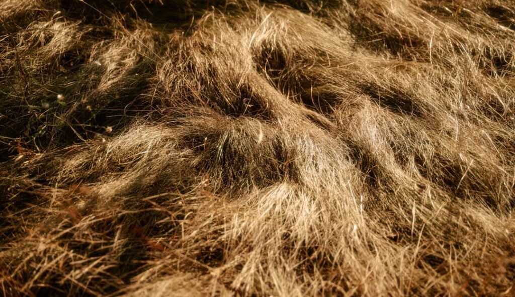 Photo hair fiber powder