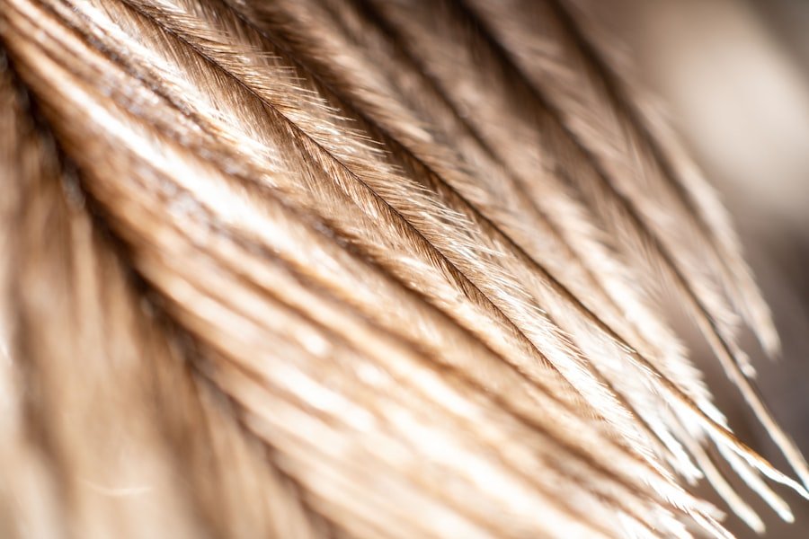 Photo hair fiber powder