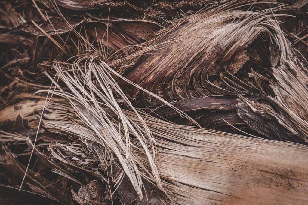 Photo natural hair fiber