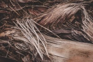 Photo natural hair fiber
