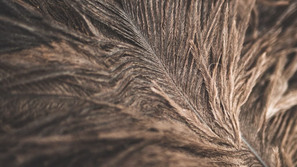 Photo hair fiber review
