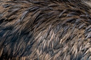 Photo keratin hair fiber