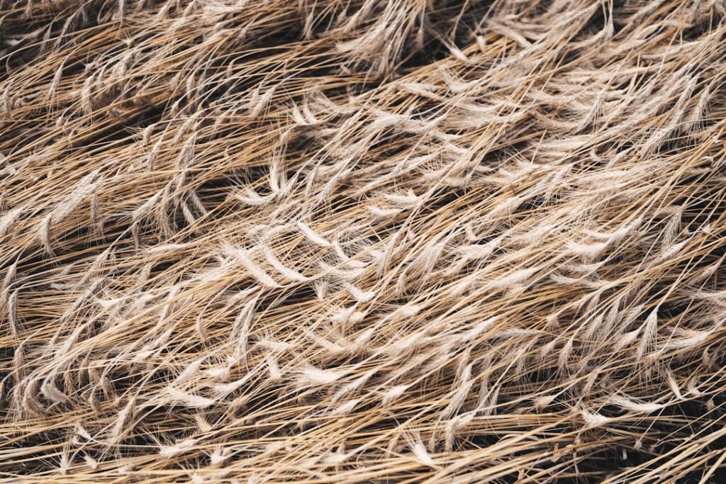 Photo hair fiber product