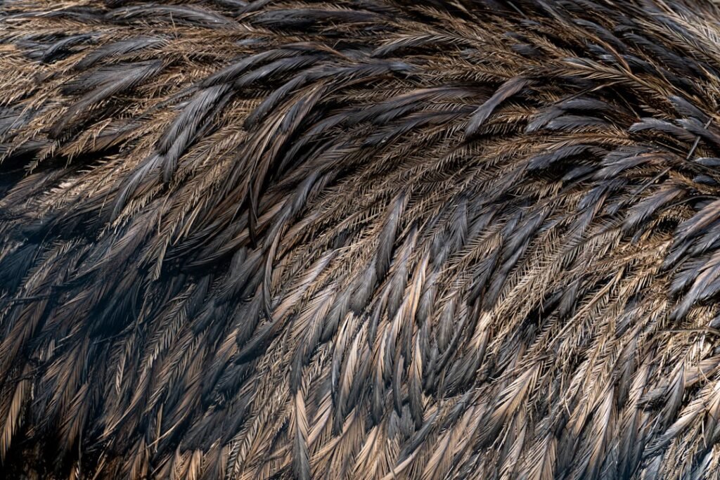 Photo hair fibers