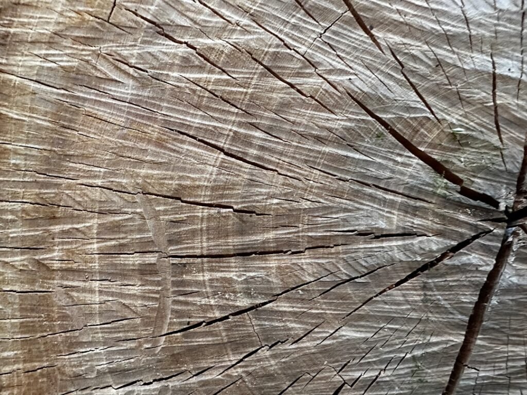Photo hair thinning powder