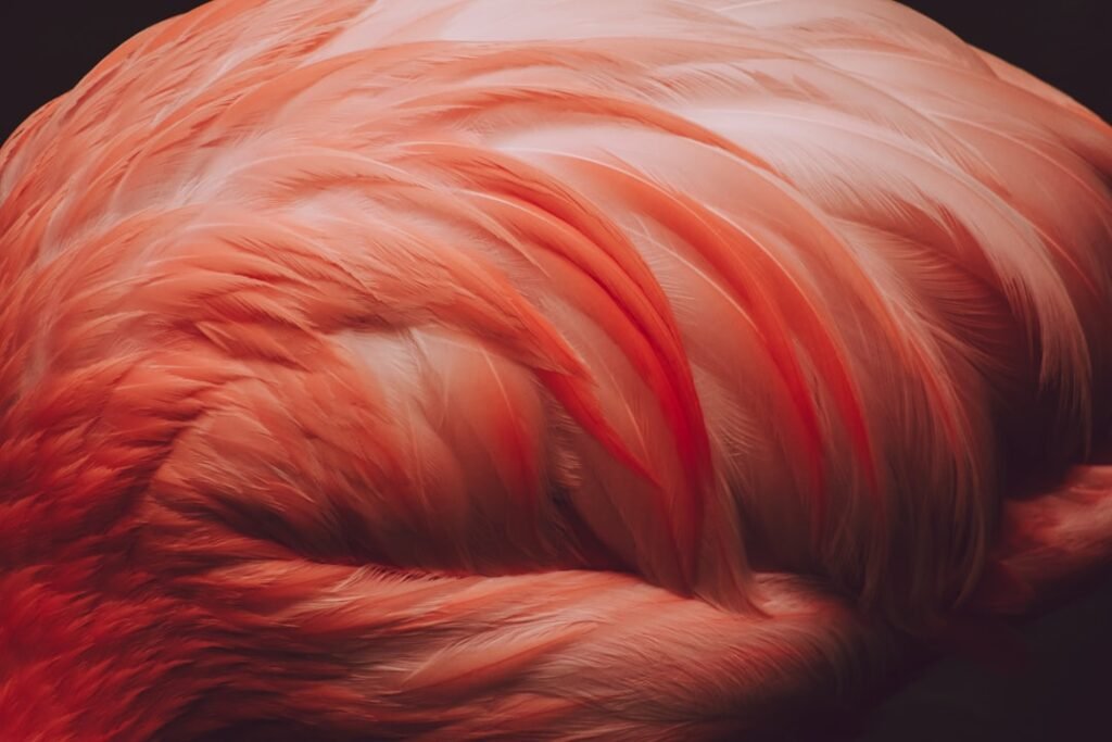 Photo hair color spray