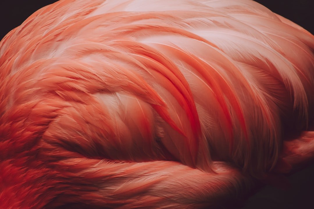 Photo hair color spray