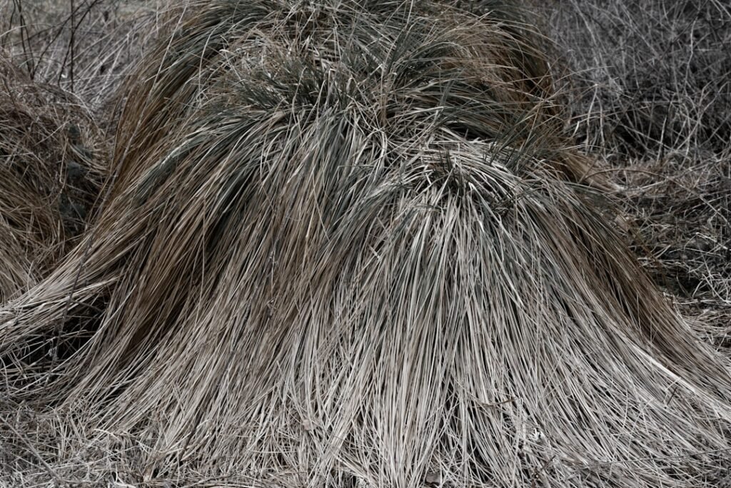 Photo hair thickening fibres