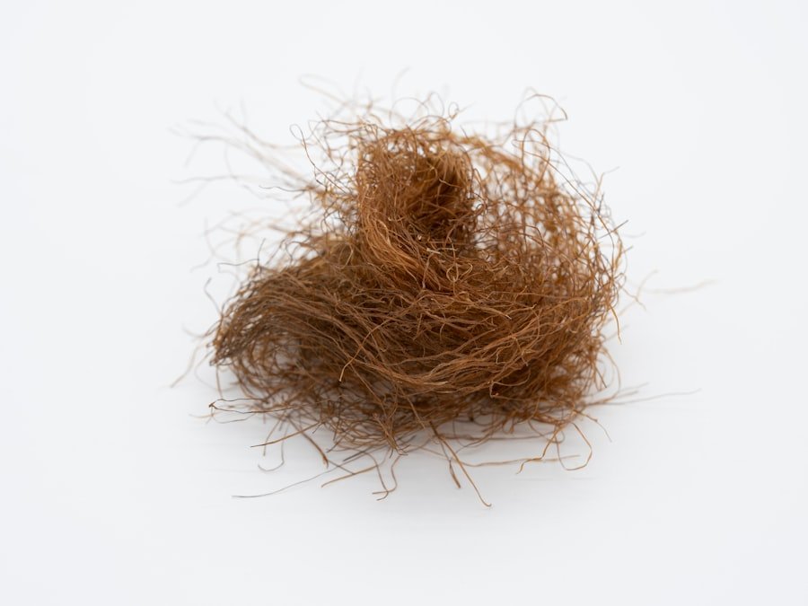 Photo natural hair thickener