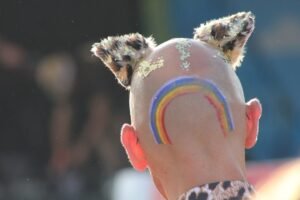 Photo bald spot cover up